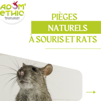 Pièges naturels à souris et rats