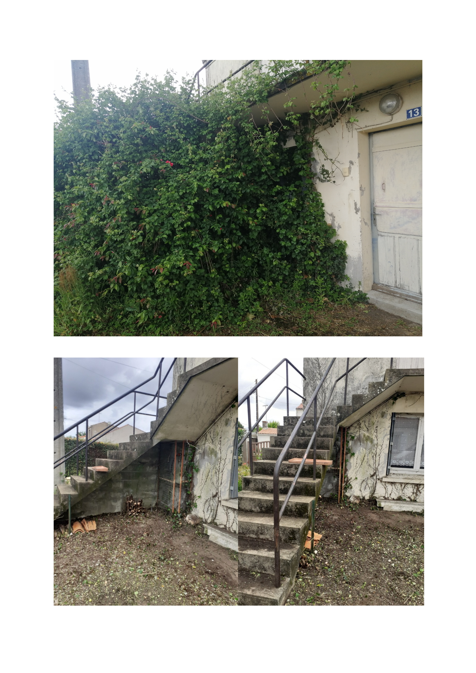 realisation adom ethic  Jardinage